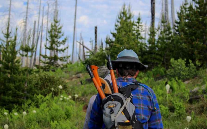 A person hikes with garden tools in their backpack through a wooded area. 